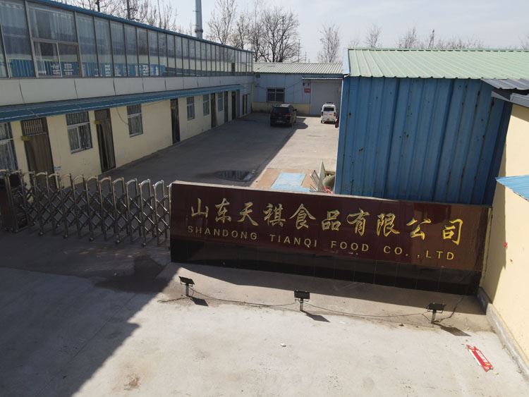 Factory Tianqi mushroom in brine in drums Factory Tianqi mushroom in brine in drums