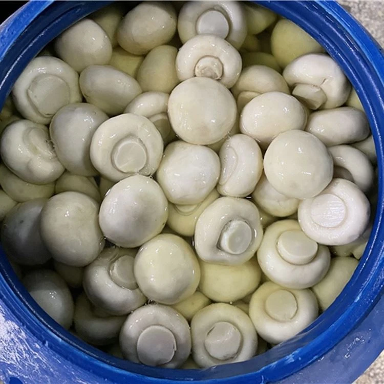 White mushroom in brine in barrel