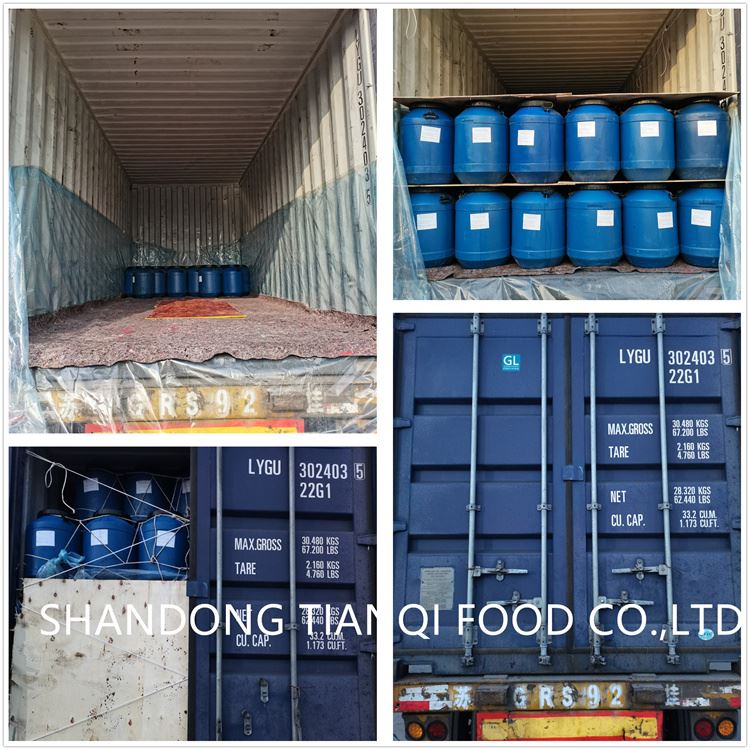 Factory tianqi mushroom in brine