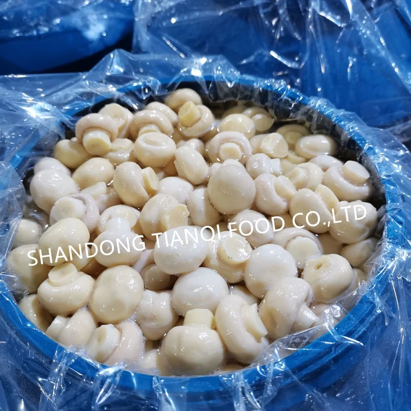 Preserved white mushroom in salted water in barrel Preserved white mushroom in salted water in barrel
