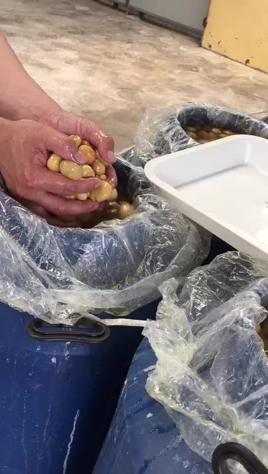 Champignon mushroom in brine in plastic drums
