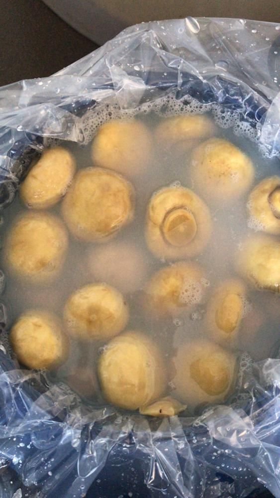 Brined mushroom in drums to Syria