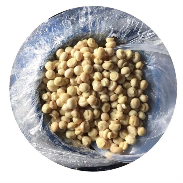 Whole white mushroom in salty water in plastic drums