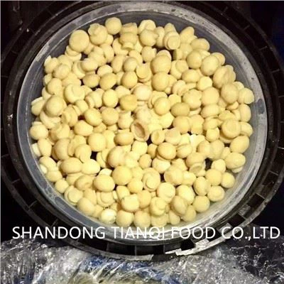 Mushroom in Brine בתופים PNS Whole Slice