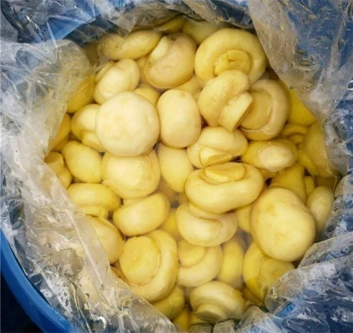 Salted whole white mushroom in drums
