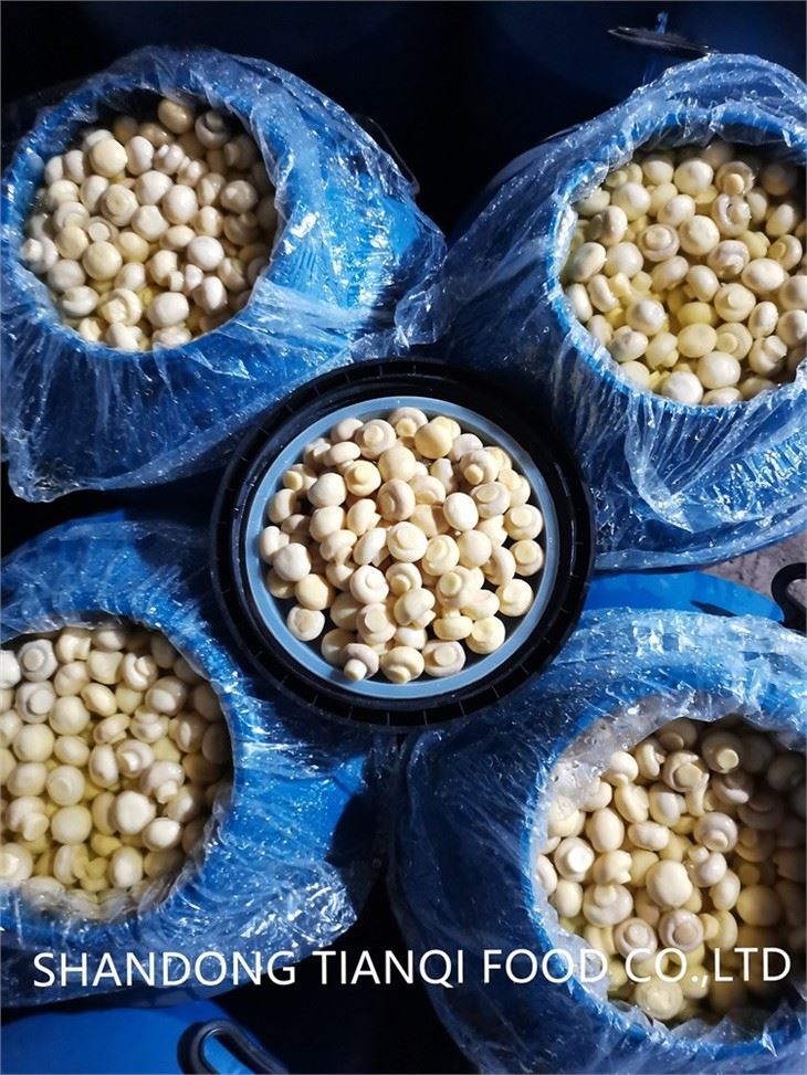 Wholesale white mushroom in brine in drums