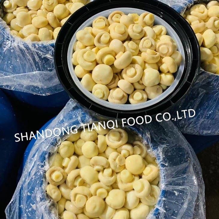 Whole button Mushroom in SO2 in Drums manufacturer