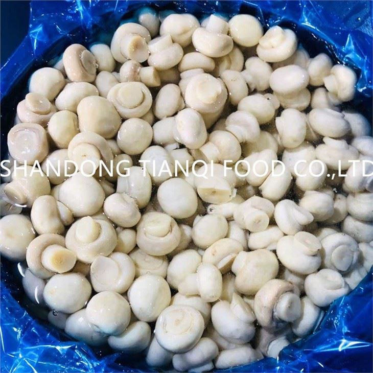 2-2.5cm champignon mushroom in brine in drums