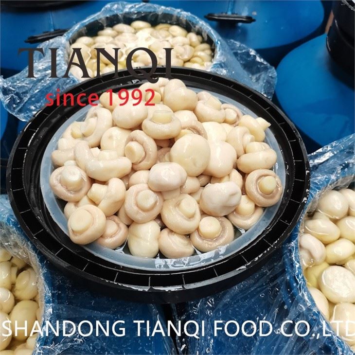 Drum packing white mushroom in salted water
