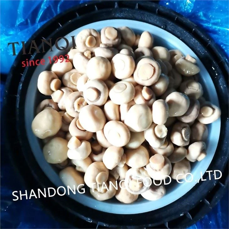 Factory White Button Mushroom in Vinegar in Drums