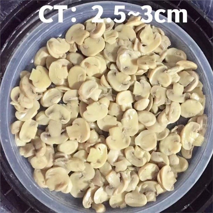 Sliced 2.5-3.0cm white mushroom in drums