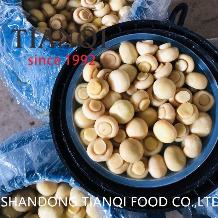 Salted white mushroom in plastic drums