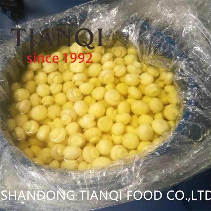 SO2 white mushroom in plastic drums