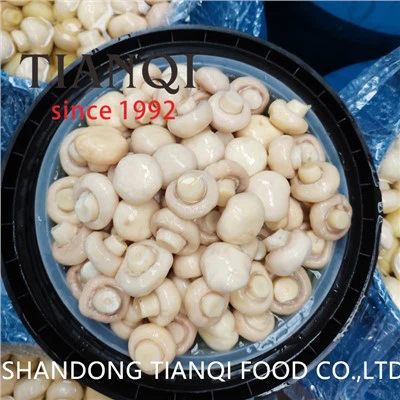 פטריה שלמה במי מלח בתופים